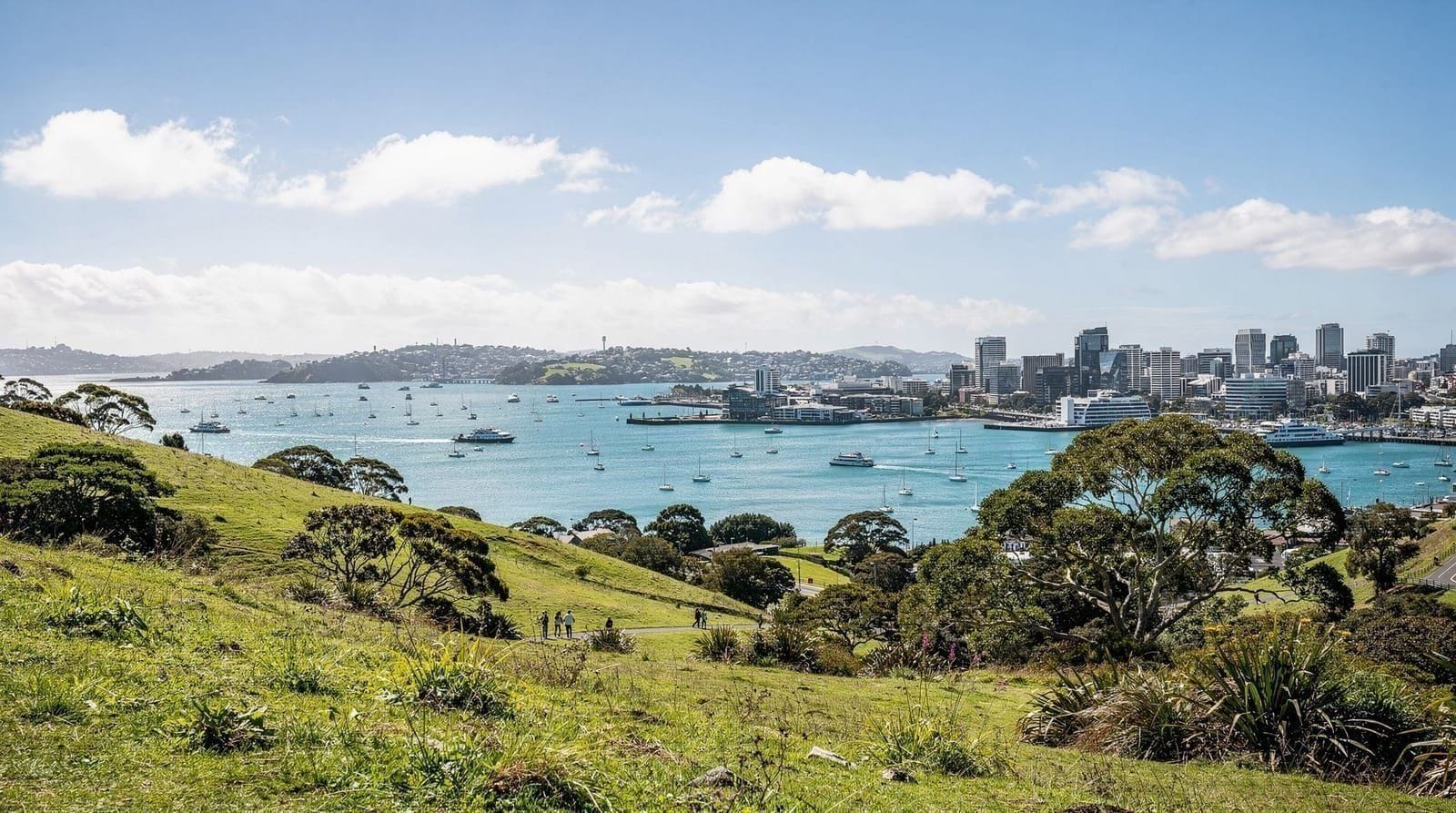 Auckland in a day: the realistic hour-by-hour plan