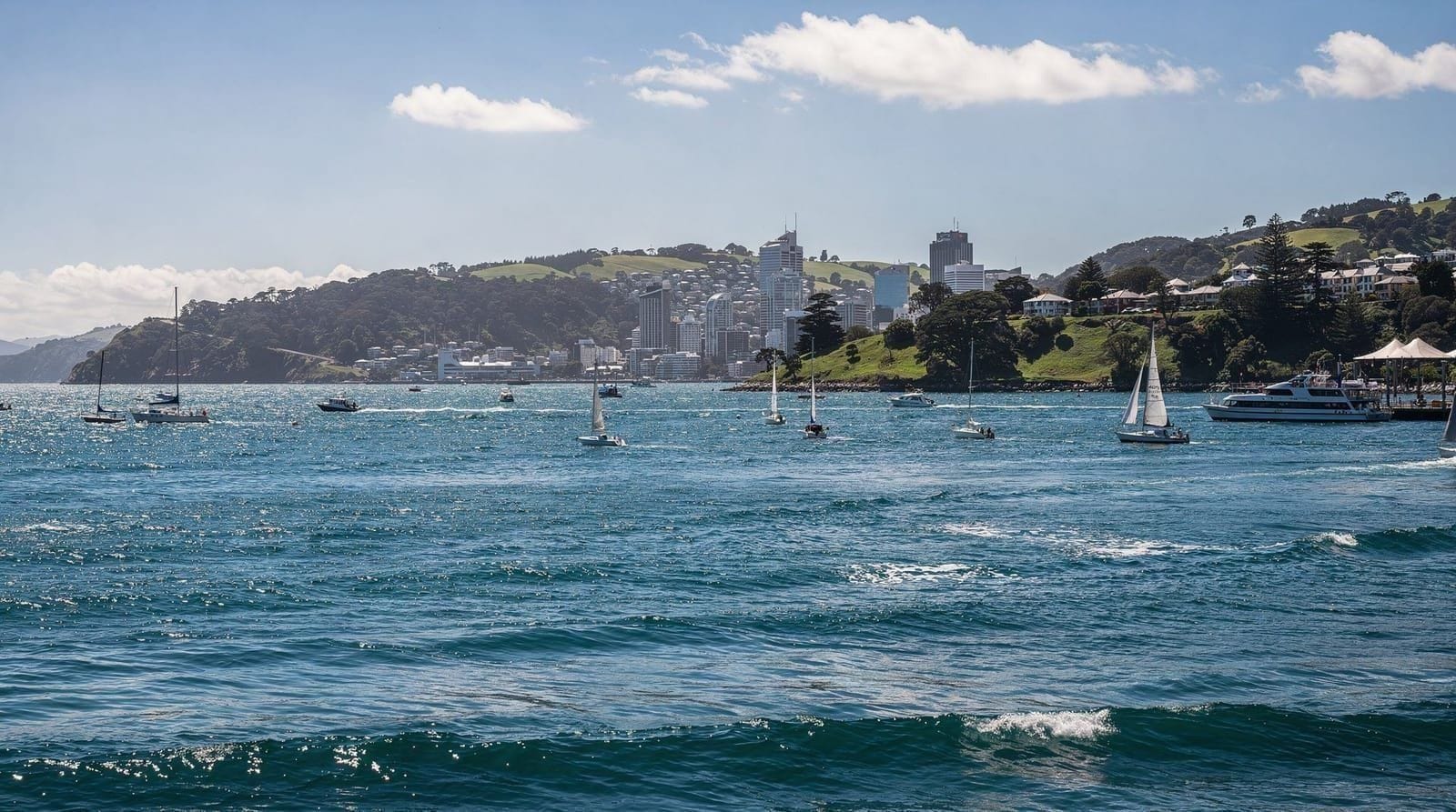 Auckland: Half day scenic sightseeing tour