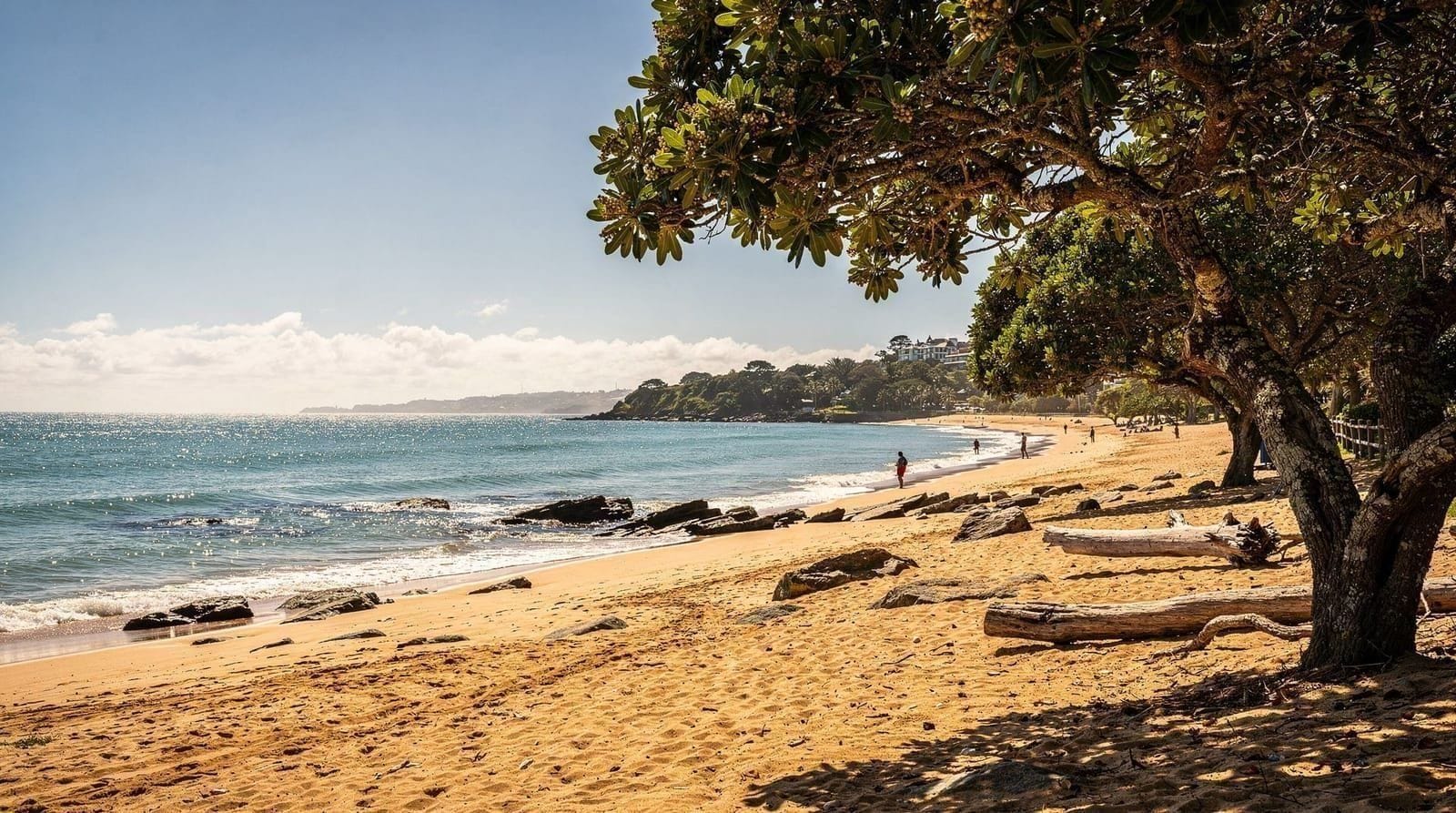 Kumeu: Auckland wild west coast black sand beaches tour inc lunch