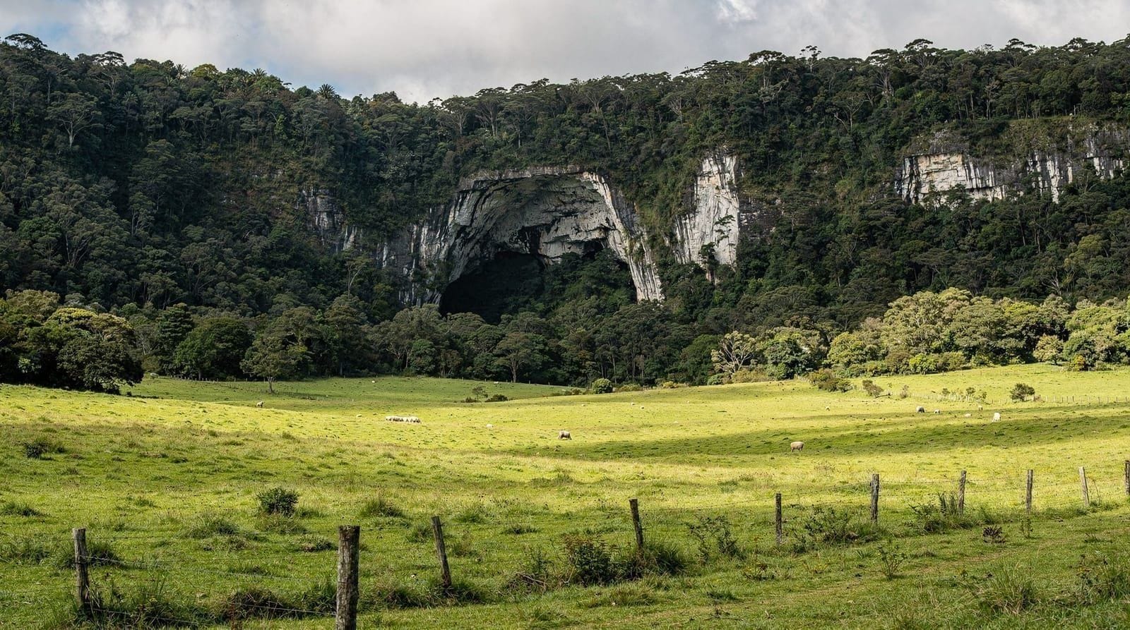 Waitomo: Glowworm caves guided tour by boat