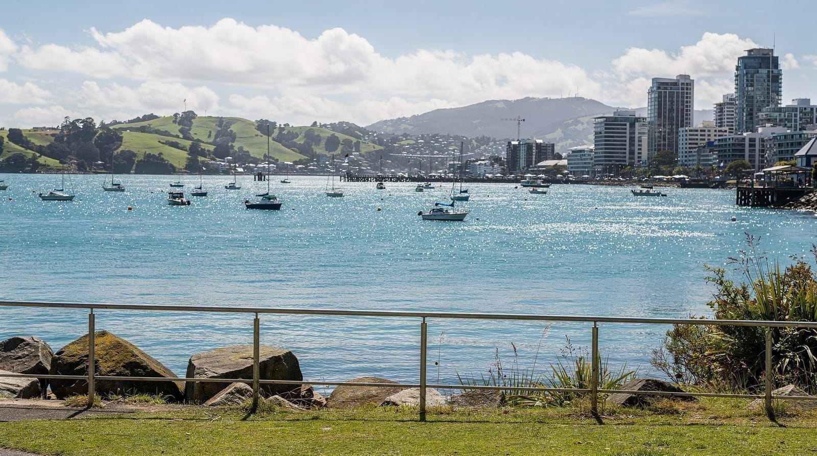 City guide — CBD, waterfront, Devonport, Ponsonby and the neighbourhoods worth your time