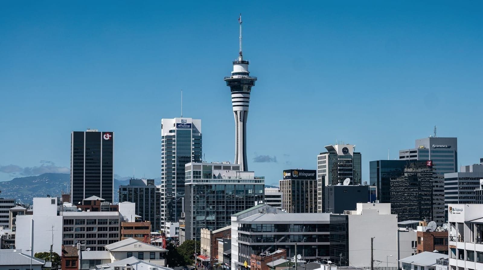 Auckland: Skyjump skywalk combo