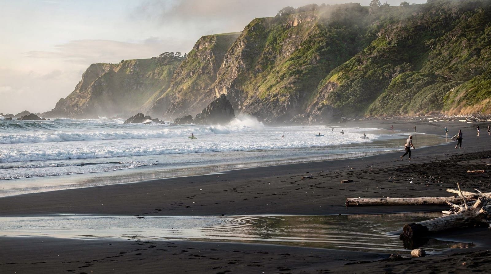 Auckland: Waitakere ranges wilderness experience tour from auckland