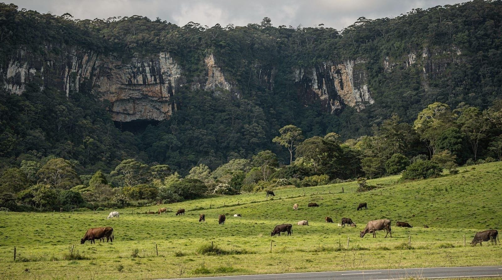 Waitomo Caves day trip from Auckland — Waitomo Caves day trip from Auckland: 2.5-hour drive time, glowworm boat tour vs